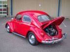 Thumbnail Photo 26 for 1964 Volkswagen Beetle
